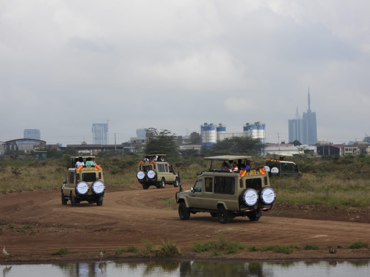Nairobi National Park Day Safari