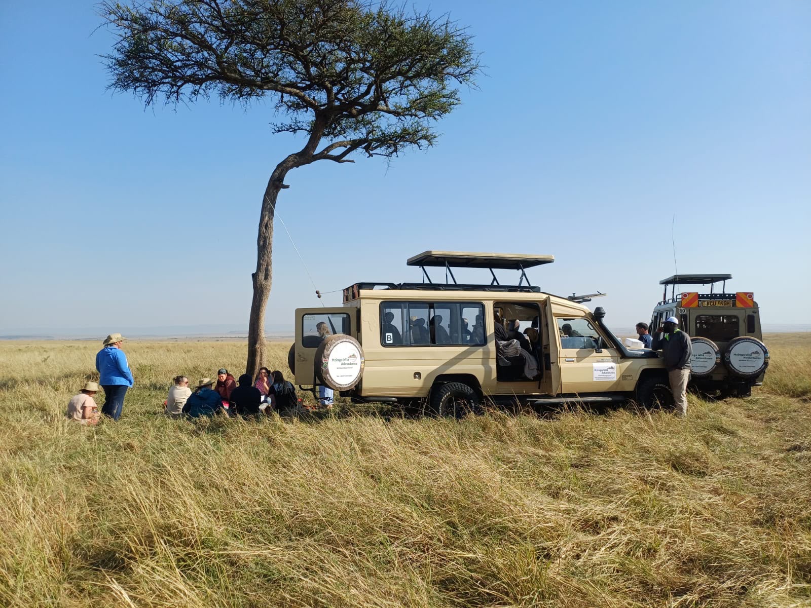 Mzingo guests at a bush breakfast under an acacia tree beside their branded safari vehicles on the Mara plains